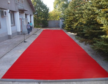 Червена пътека с персийски мотив, 2 × 10 м